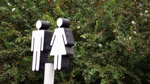 Why are women still queuing for toilets?