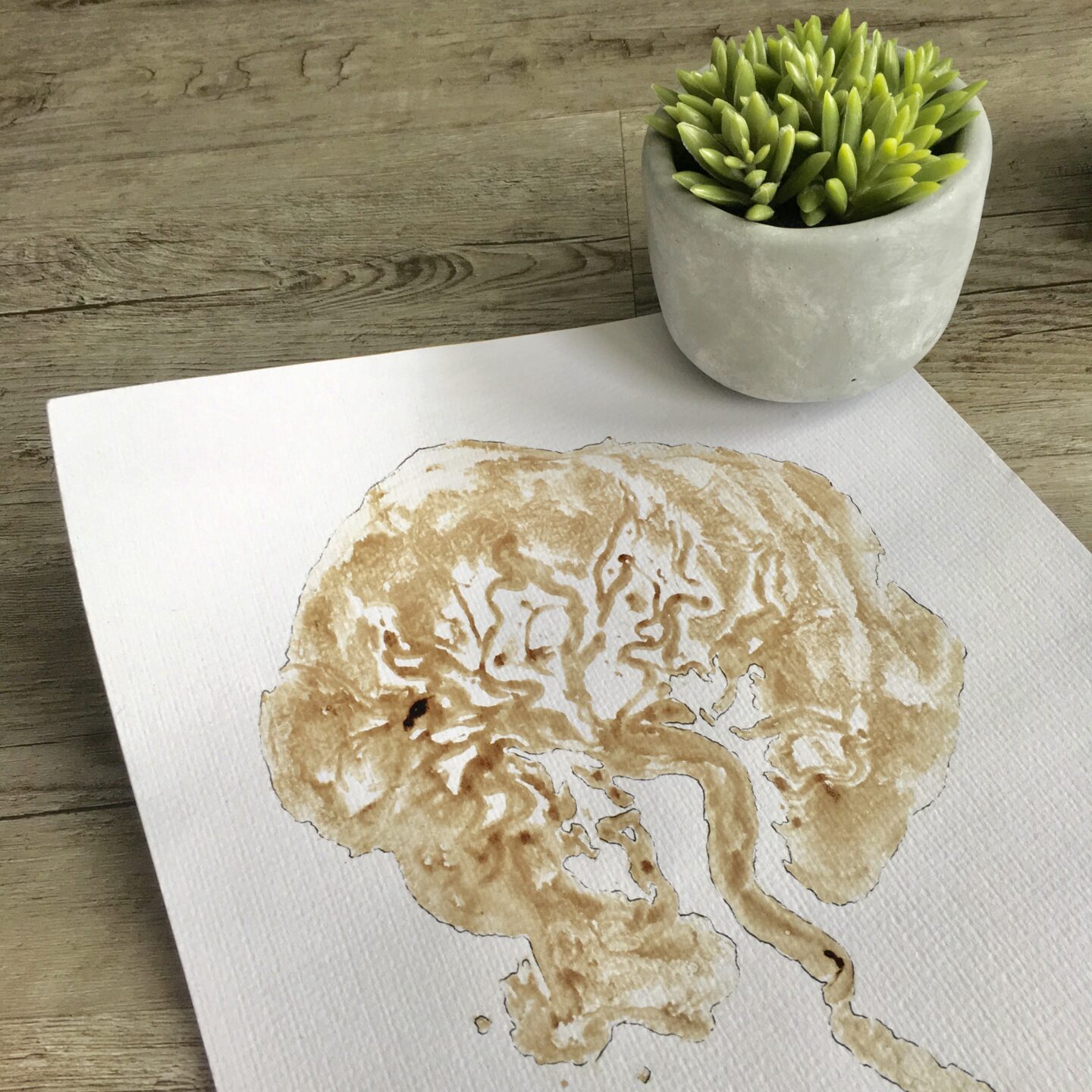 Placenta encapsulation - an honest experience
