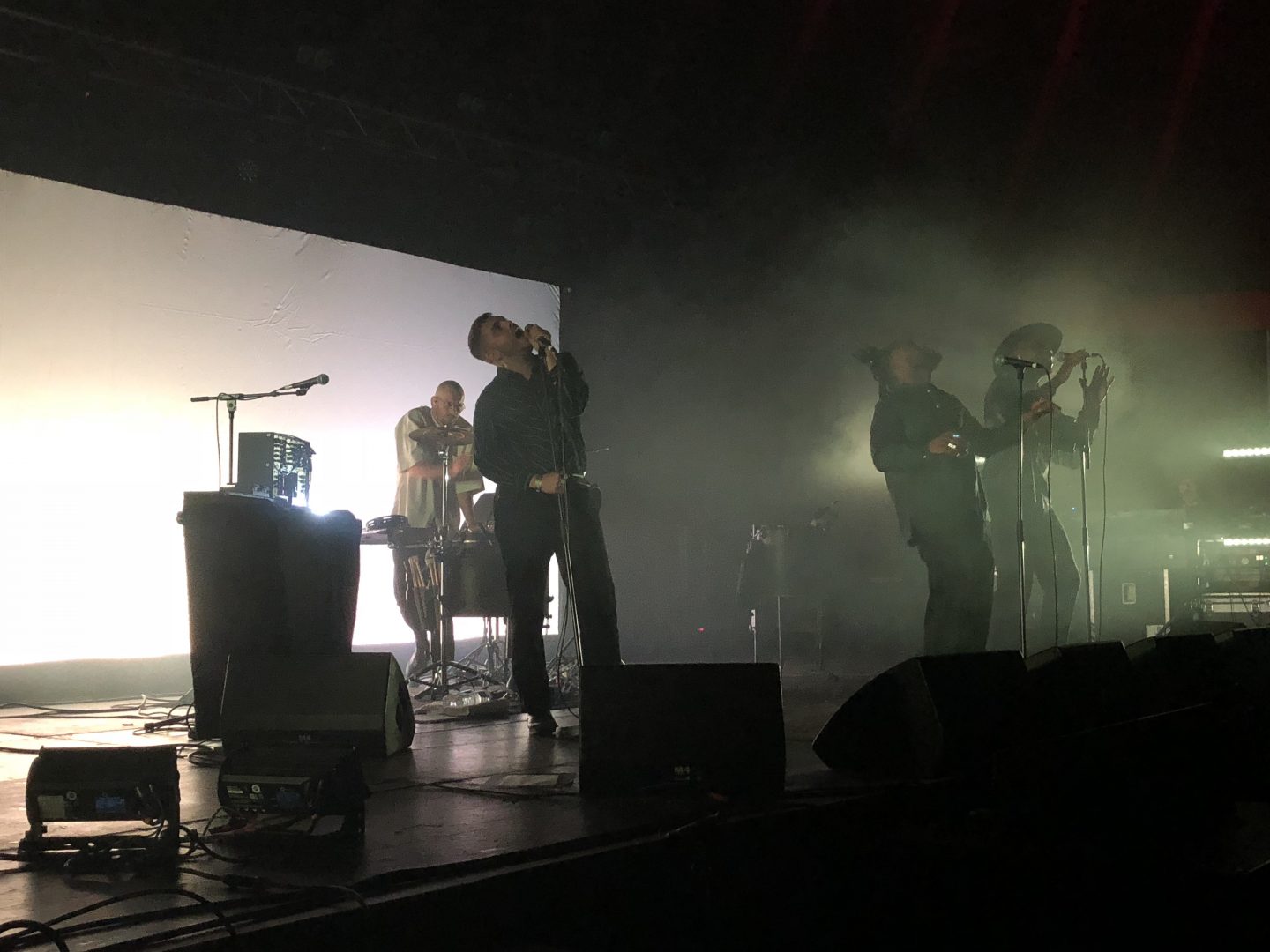 Electric Fields 2018 - family review