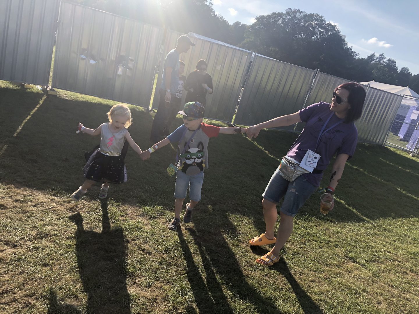 Electric Fields 2018 - family review