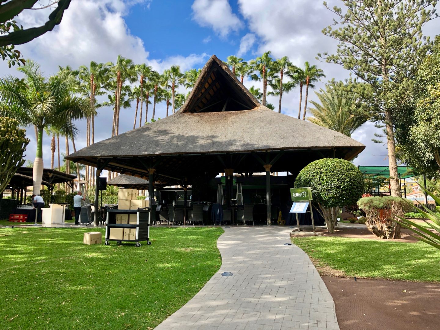 Occidental Margaritas, Gran Canaria, family holiday review