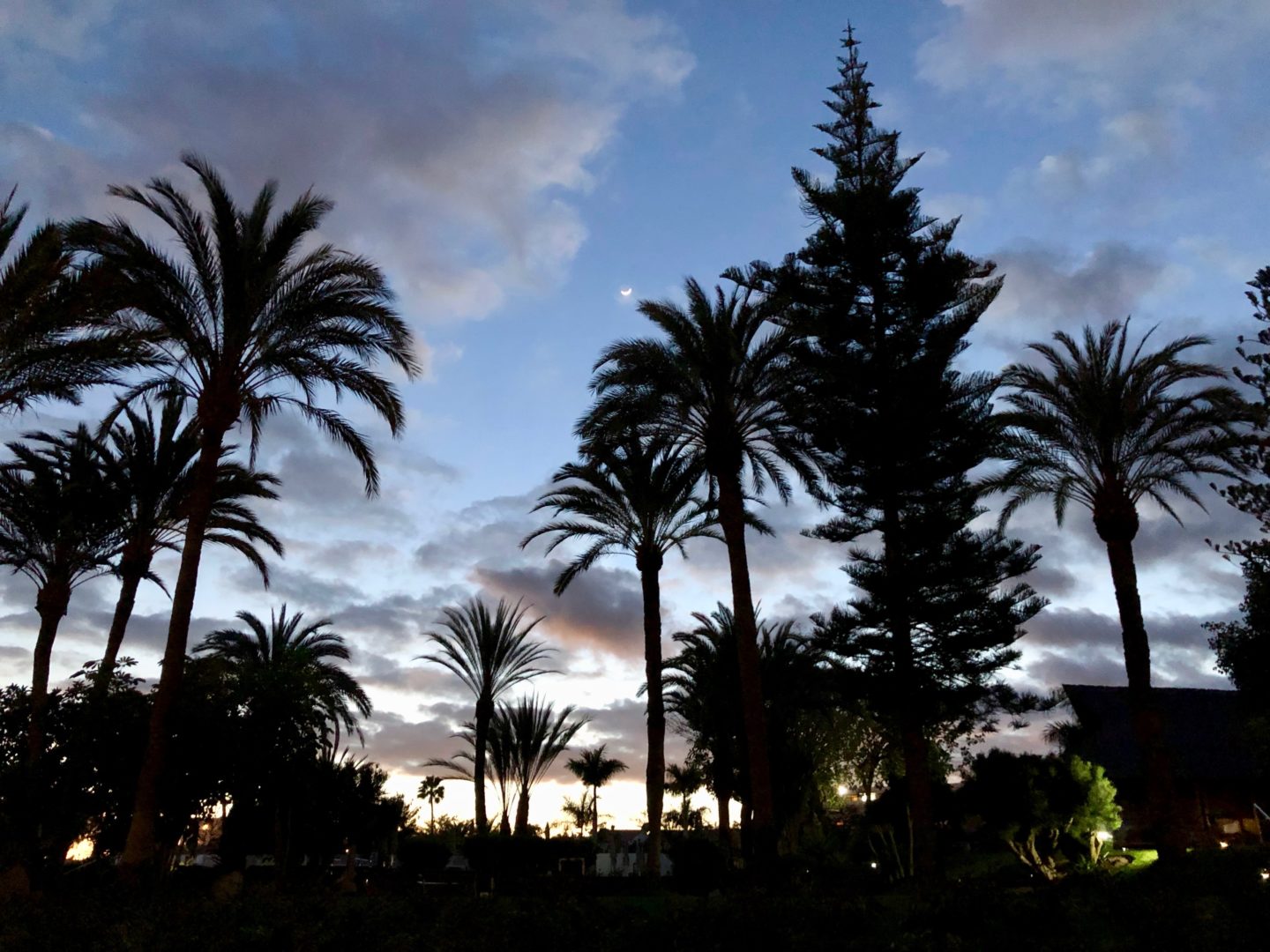 Occidental Margaritas, Gran Canaria, family holiday review