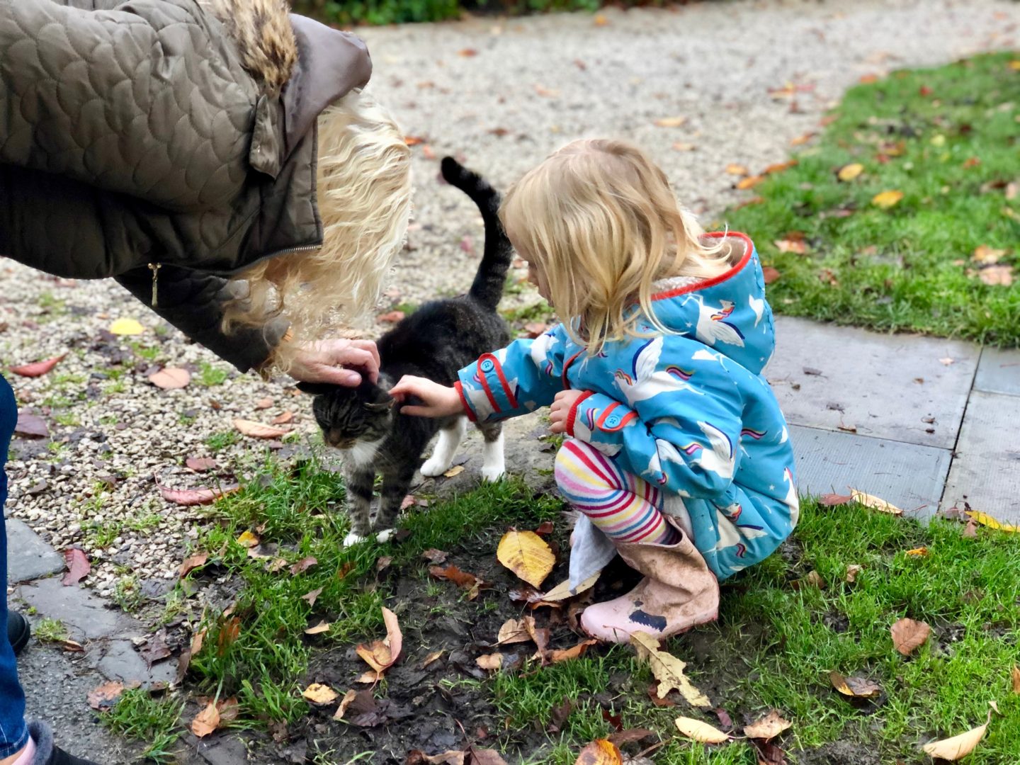 AD: Landal Sandybrook Peak District family review - a relaxing autumnal long weekend break. My daughter with the onsite cat.
