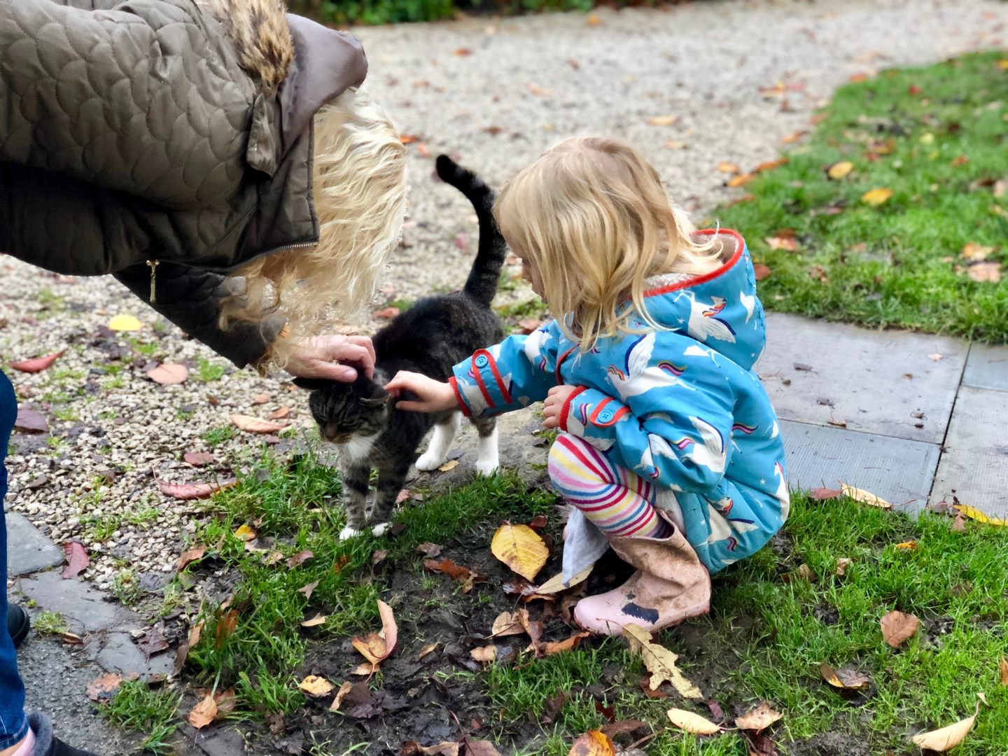 AD: Landal Sandybrook Peak District family review - a relaxing autumnal long weekend break. My daughter with the onsite cat. 