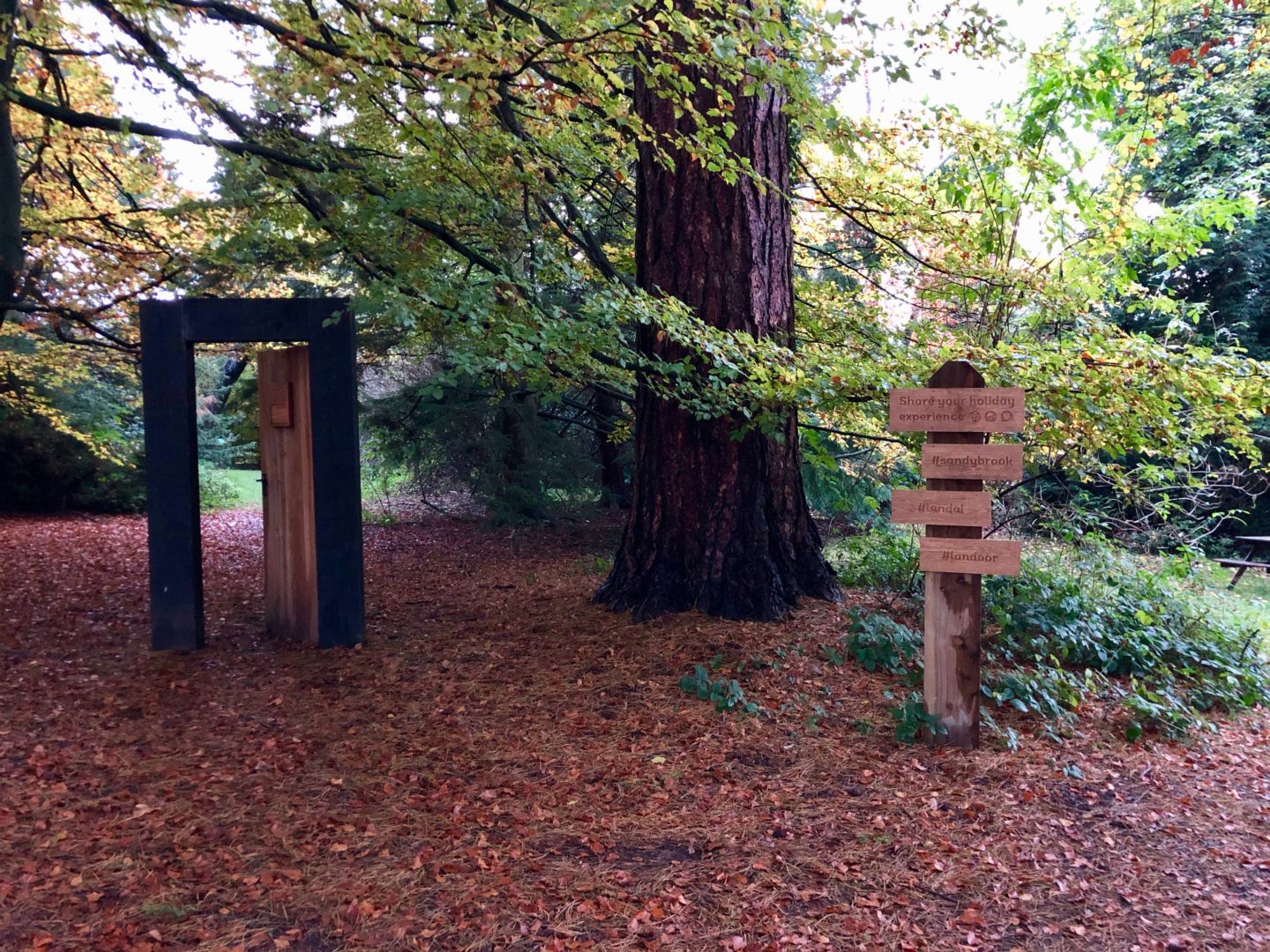 AD: Landal Sandybrook Peak District family review - a relaxing autumnal long weekend break. The woodland walk at Landal Sandybrook, Peak District. 