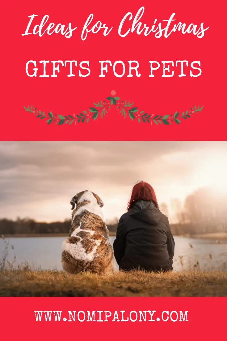 #AD: Ideas for Christmas gifts for pets - from pet beds, to doggy mince pies to pet insurance and more. 