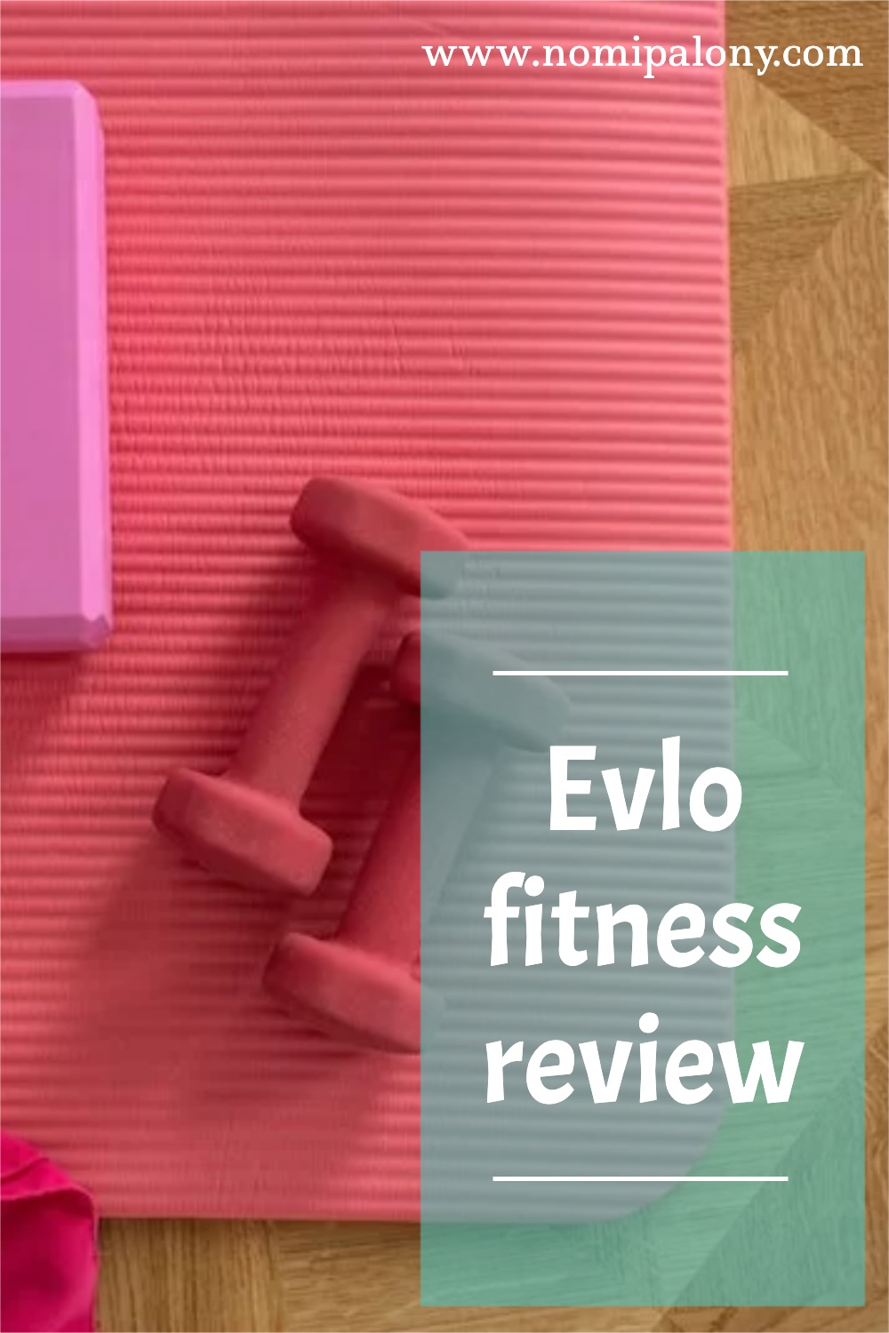 Evlo fitness review