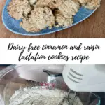 Photo of dairy free cookies on a plate and the batter in the bowl