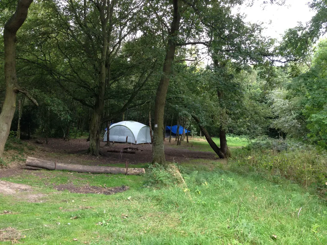 Tents wild camping in the woods 