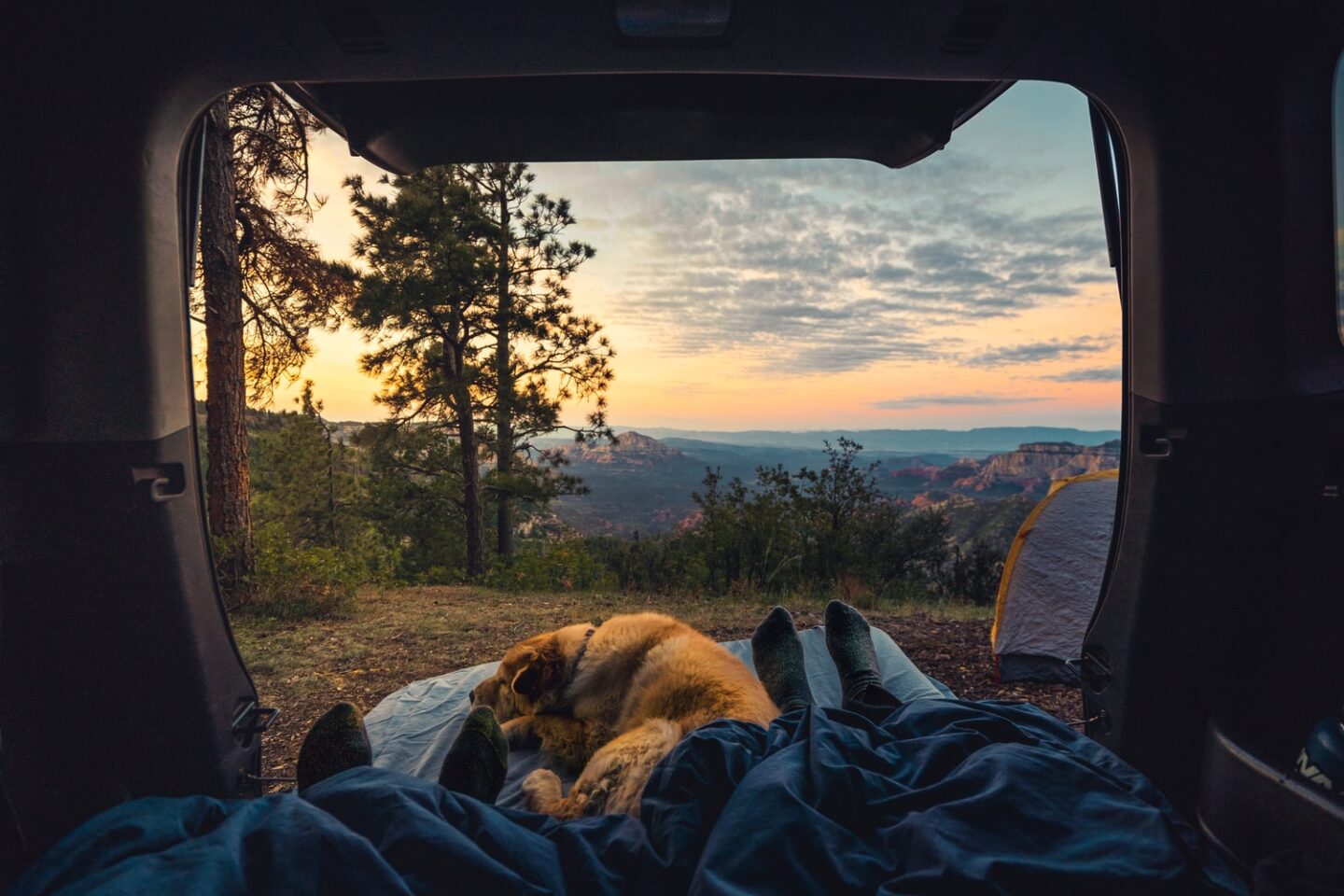 Scenic view from a tent with a dog curled up by someone's feet as they free camp in the UK in a van