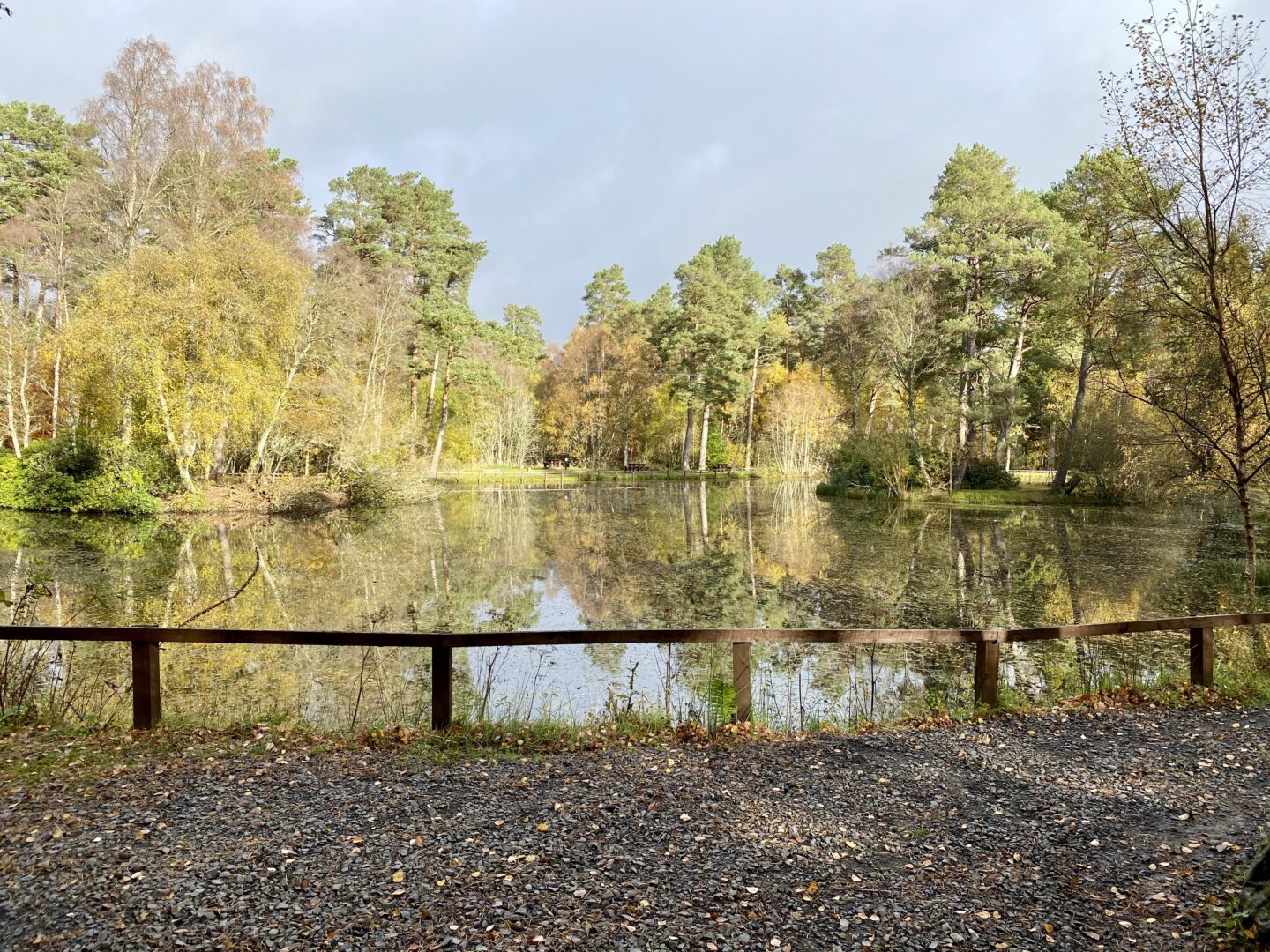 lake in autumn