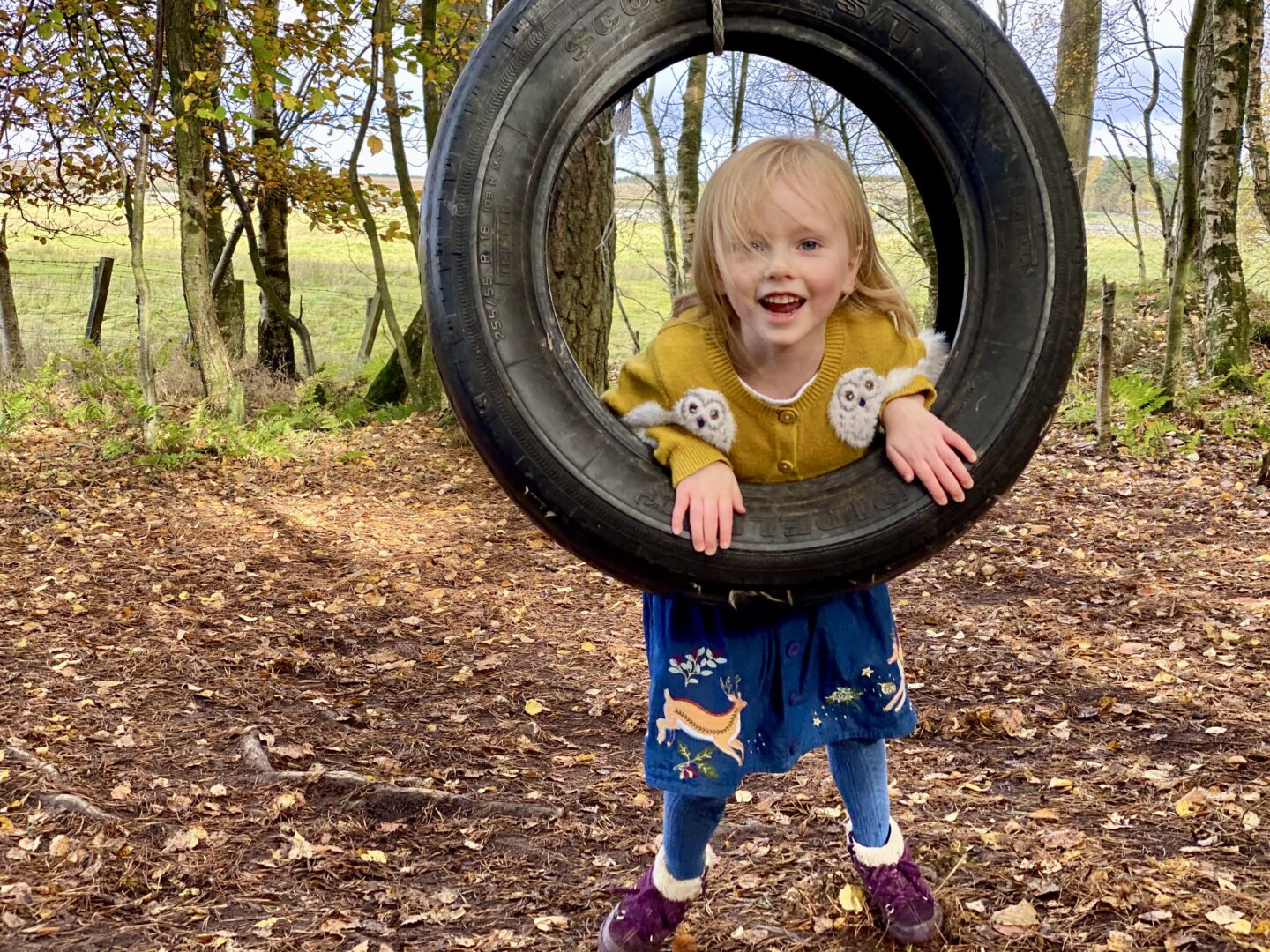 Girl playing on tyre swing in the woods