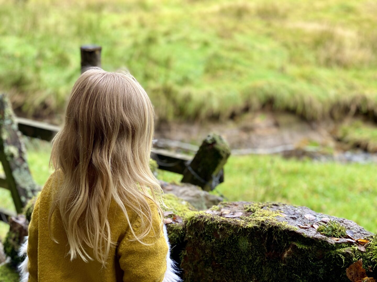 Girl looking at fields