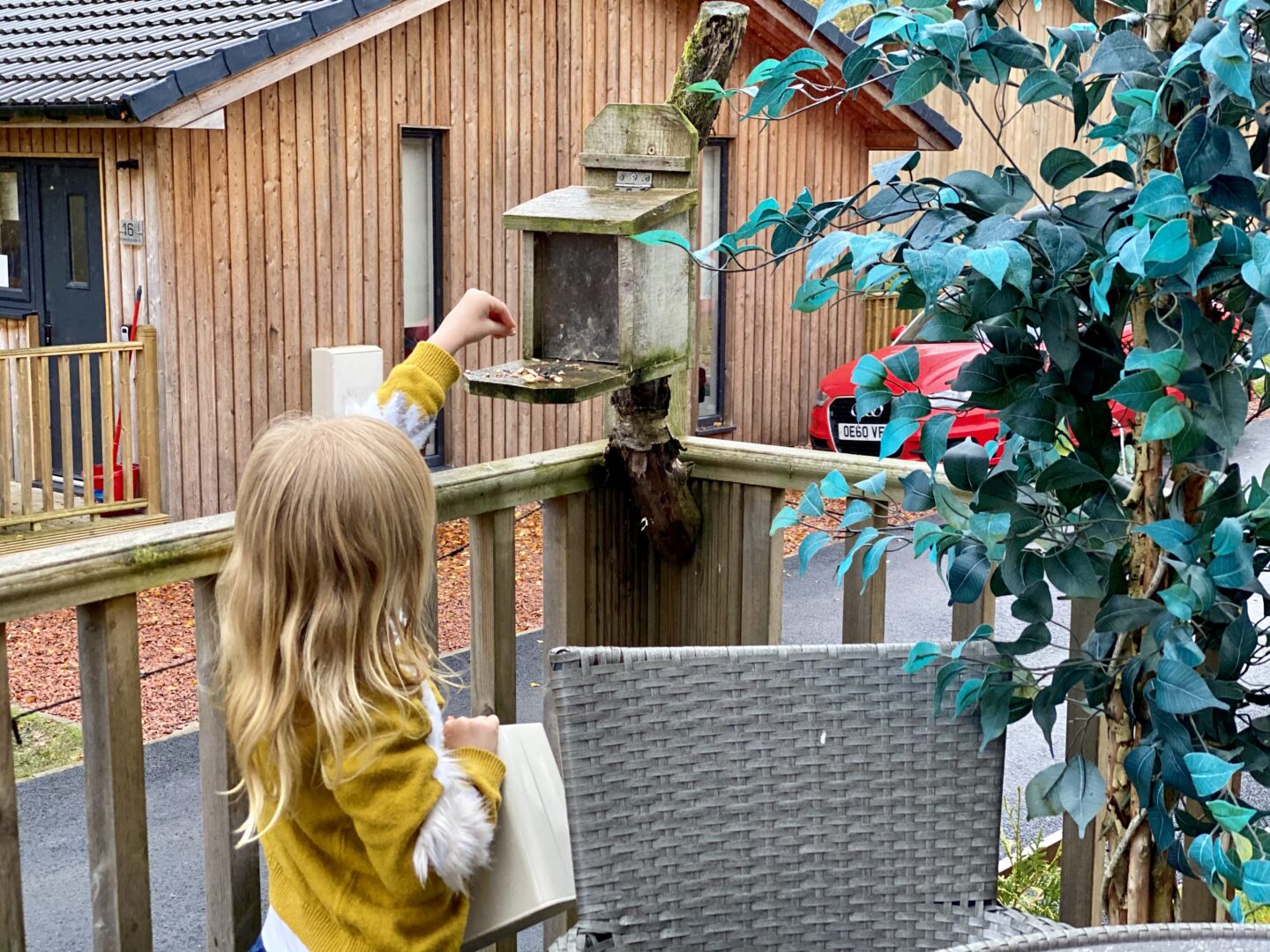 Girl putting squirrel feed on a wooden feeder stand