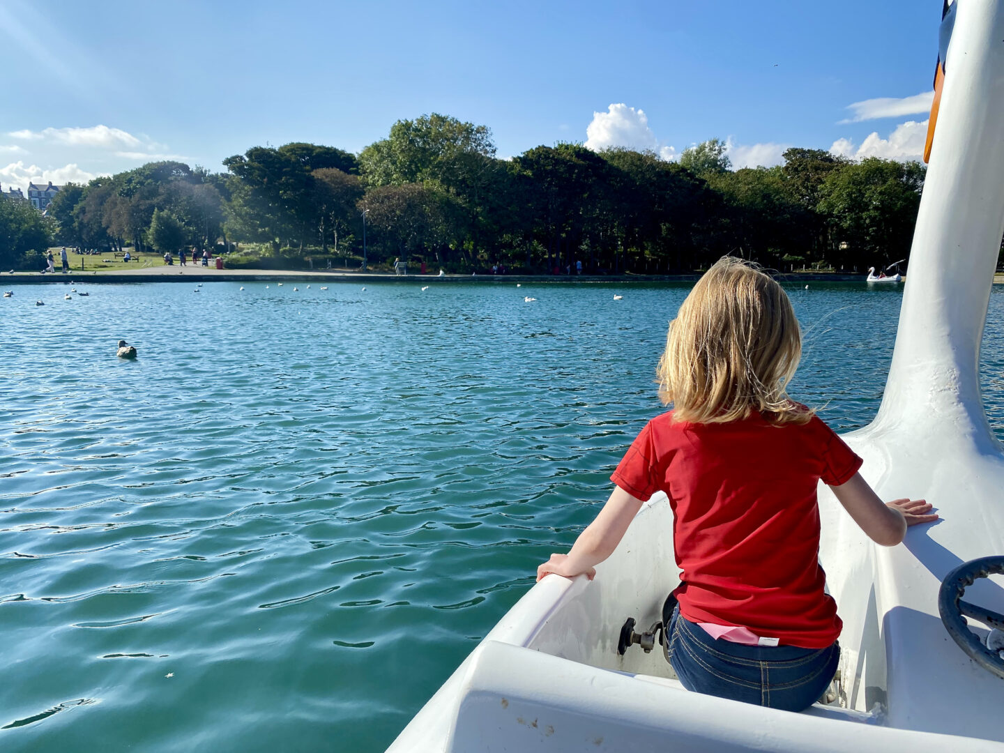 A young girl in a red top riding a swan boat on a boating lake