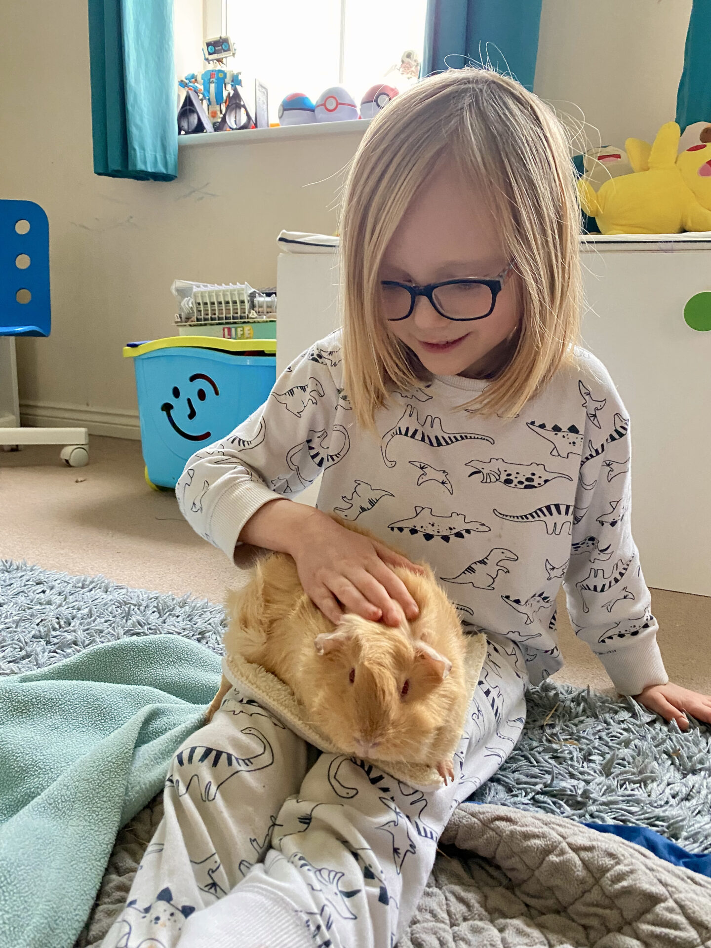 A little girl wearing glasses and white dinosaur pjs pets a big ginger guinea pig sat on her knee