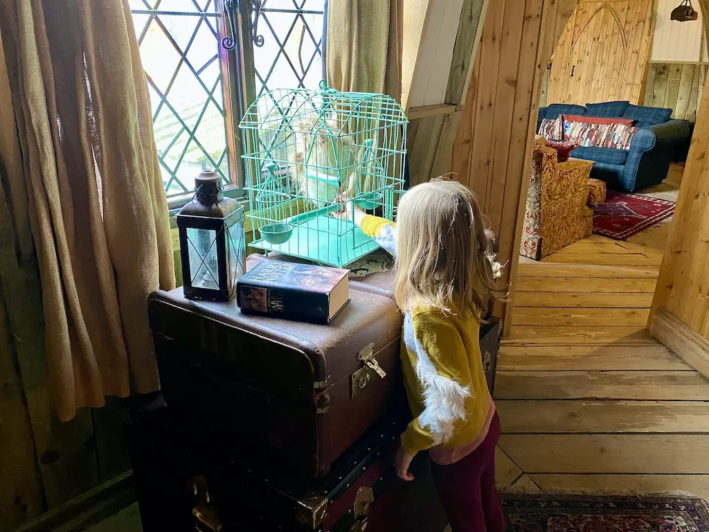 Girl stroking fake owl in a cage