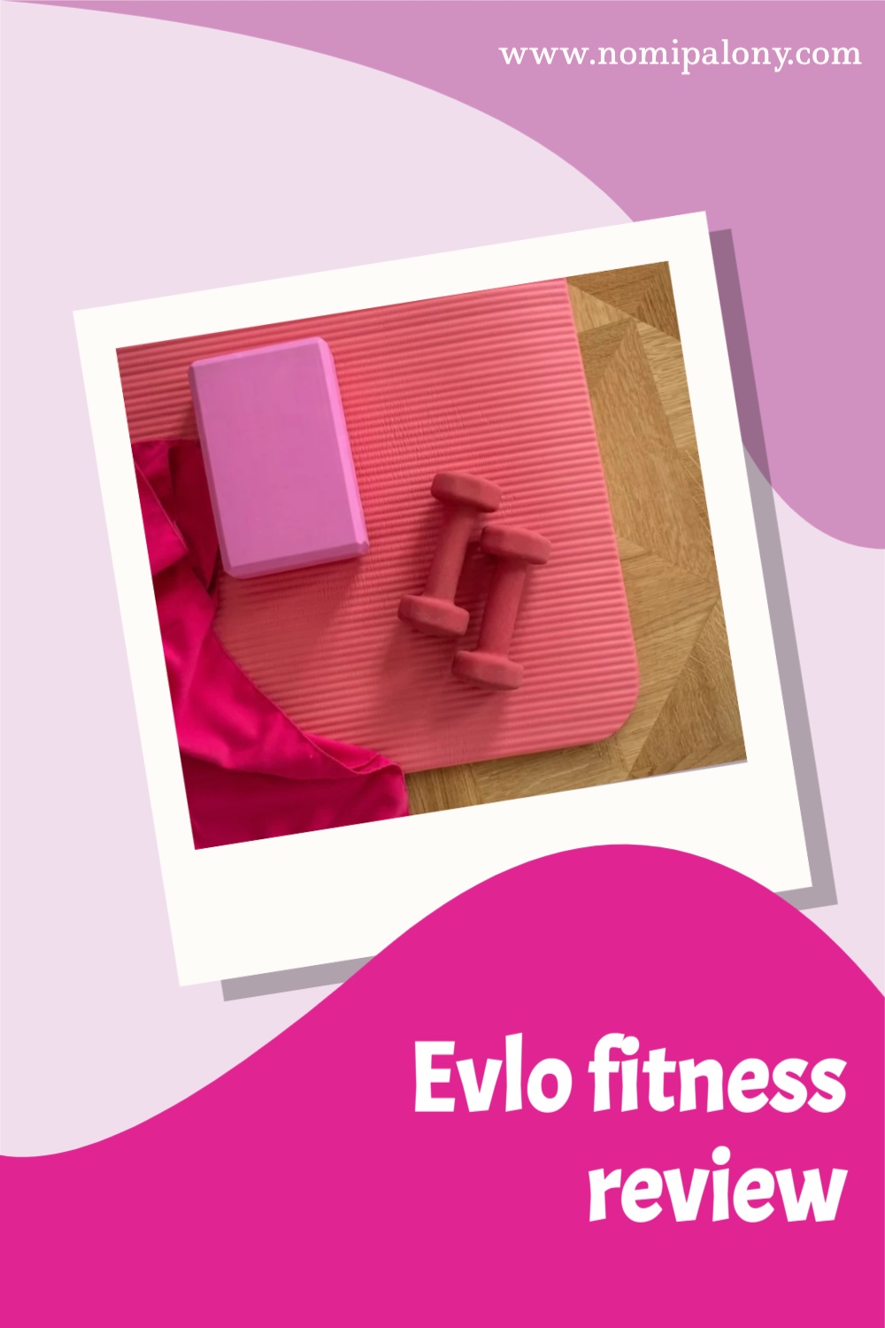 Evlo fitness review