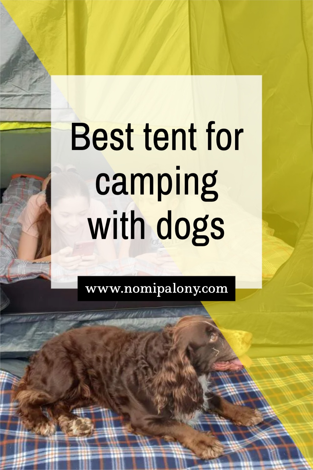 Here is everything you need to know about choosing the best tent for camping with dogs, including our top picks.
