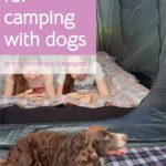 Best tent for camping with dogs