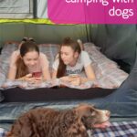 Best tent for camping with dogs