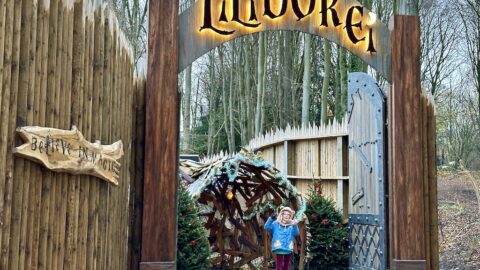 Christmas at Lilidorei - wooden wall and glowing Lilidorei sign in front of a tunnel